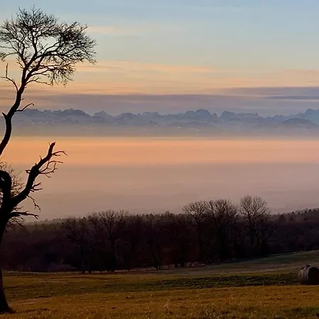 Konukevi La Ferme De - With A View La Praz