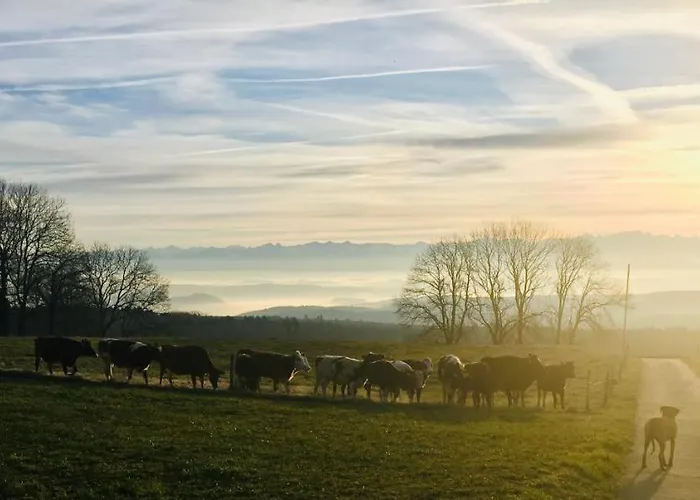 La Ferme De - With A View