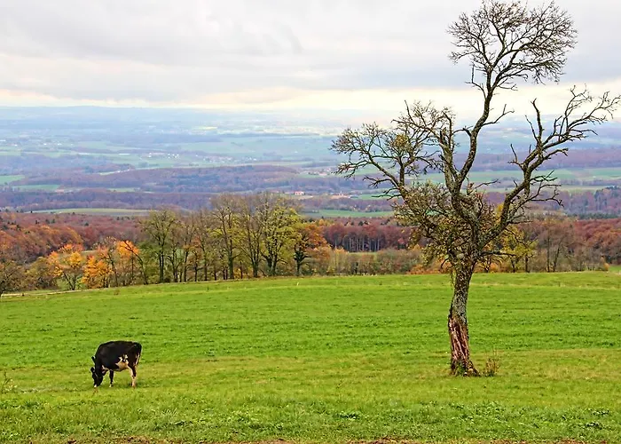 ゲストハウス La Ferme De - With A View