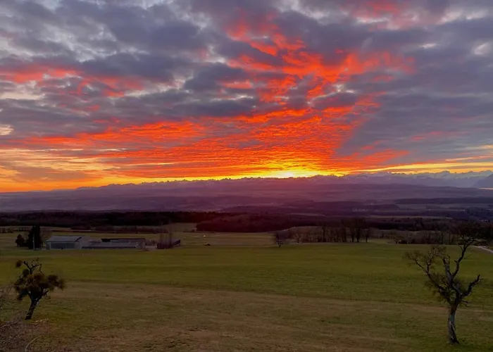 게스트하우스 La Ferme De - With A View 4*